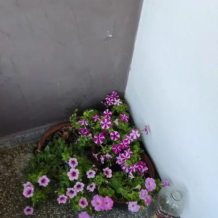 хайк * Beli Osŭm